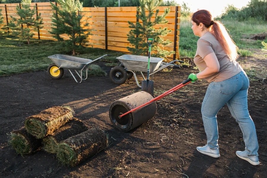 Een goed onderhouden gazon biedt talloze voordelen voor zowel uw tuin als uw levensstijl