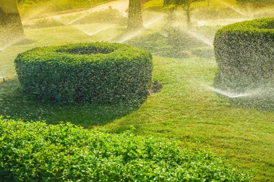 Door een gedegen plan te hebben en nauwkeurig te werken, kun je een efficiënt irrigatiesysteem creëren dat voldoet aan de behoeften van jouw tuin